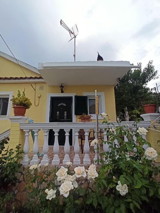 Dimitris House Petriti Daire Dış mekan fotoğraf